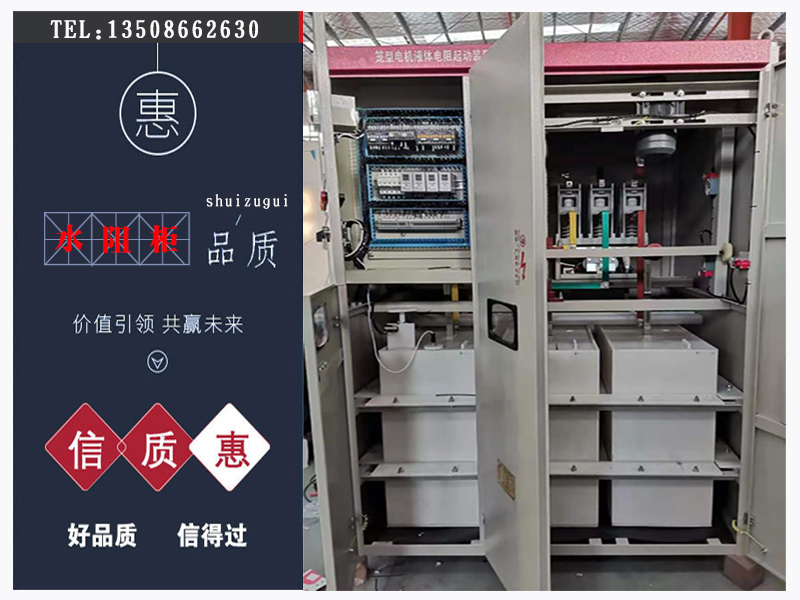 高壓電阻起動(dòng)柜,水電阻起動(dòng)柜,水阻柜,高壓水阻柜廠家